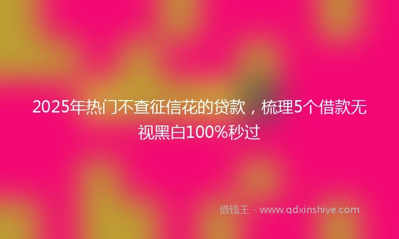 2025年热门不查征信花的贷款，梳理5个借款无视黑白100%秒过