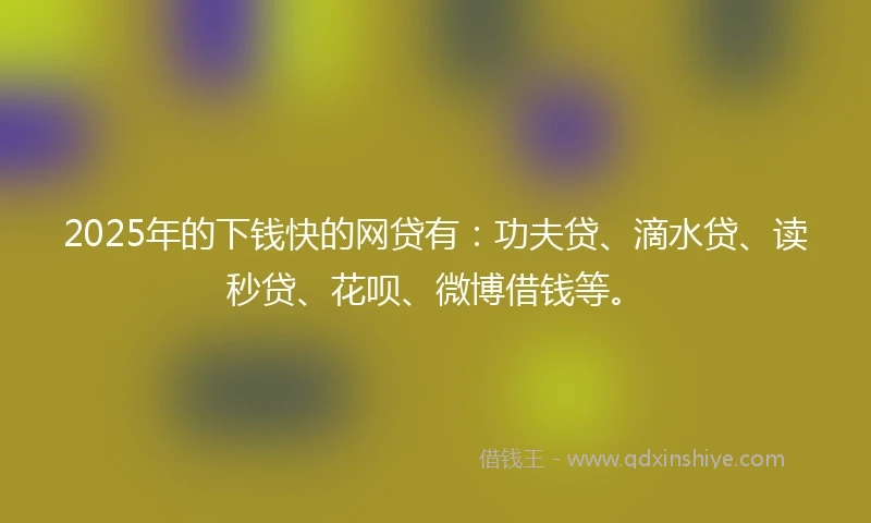 2025年的下钱快的网贷有：功夫贷、滴水贷、读秒贷、花呗、微博借钱等。