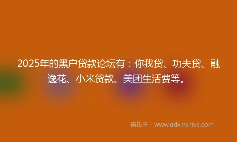 2025年的黑户贷款论坛有：你我贷、功夫贷、融逸花、小米贷款、美团生活费等。