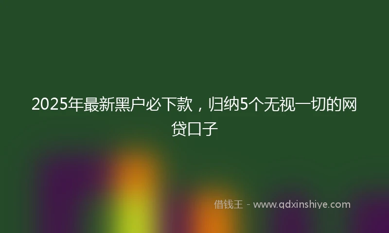2025年最新黑户必下款，归纳5个无视一切的网贷口子