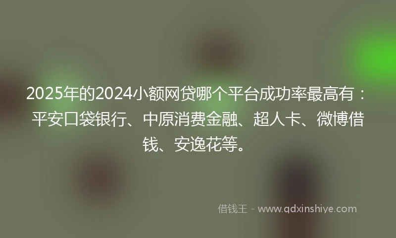 2025年的2024小额网贷哪个平台成功率最高有：平安口袋银行、中原消费金融、超人卡、微博借钱、安逸花等。