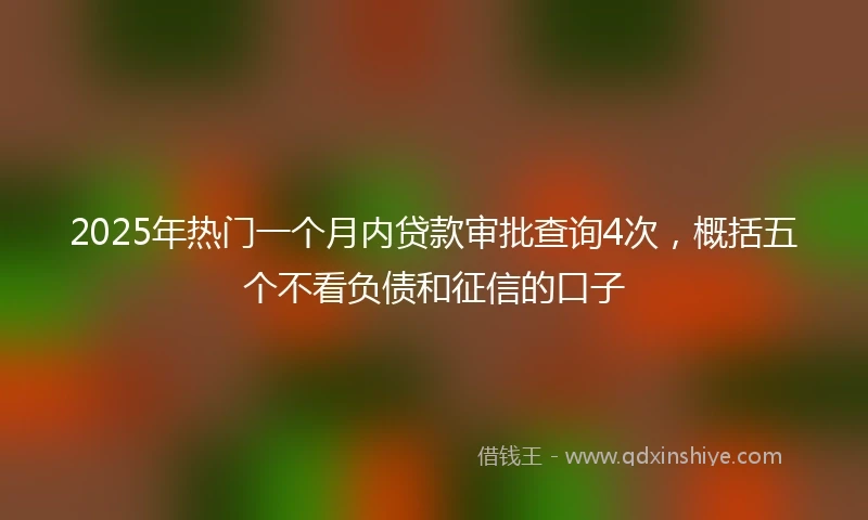 2025年热门一个月内贷款审批查询4次，概括五个不看负债和征信的口子