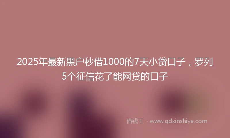 2025年最新黑户秒借1000的7天小贷口子，罗列5个征信花了能网贷的口子