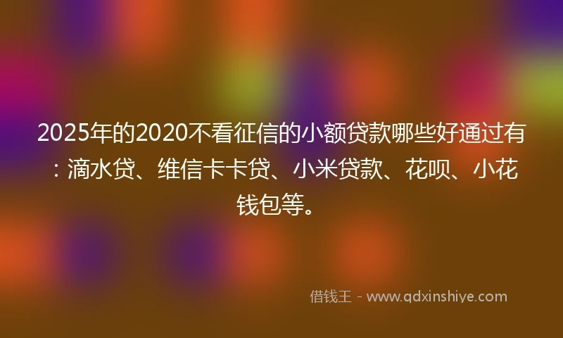 2025年的2020不看征信的小额贷款哪些好通过有：滴水贷、维信卡卡贷、小米贷款、花呗、小花钱包等。