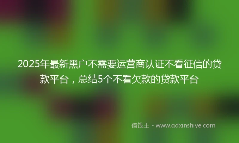2025年最新黑户不需要运营商认证不看征信的贷款平台，总结5个不看欠款的贷款平台