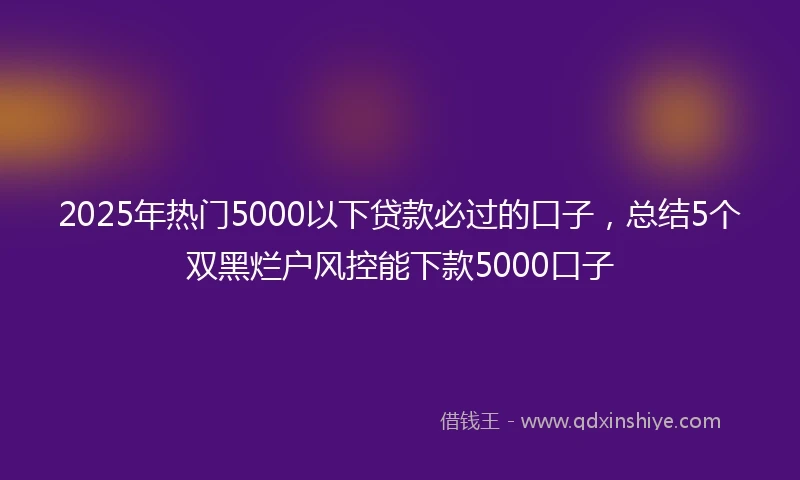 2025年热门5000以下贷款必过的口子，总结5个双黑烂户风控能下款5000口子