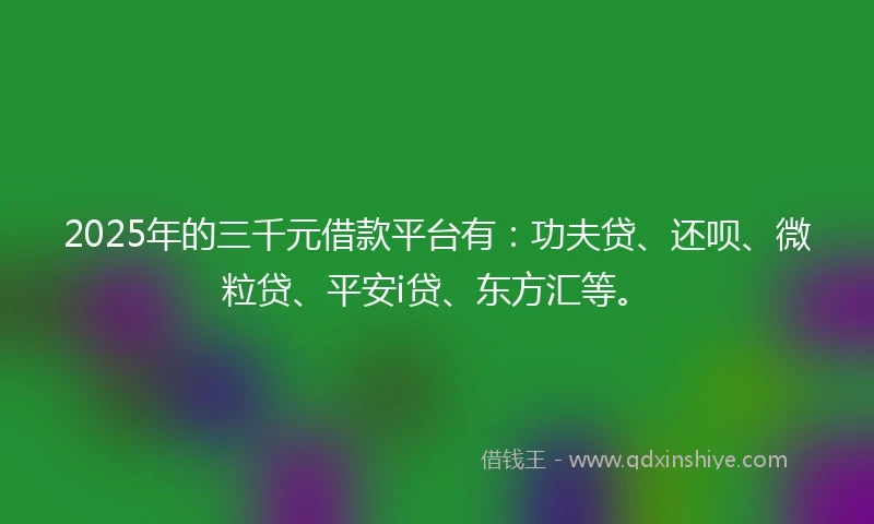 2025年的三千元借款平台有：功夫贷、还呗、微粒贷、平安i贷、东方汇等。