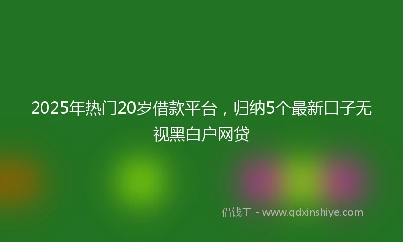 2025年热门20岁借款平台，归纳5个最新口子无视黑白户网贷