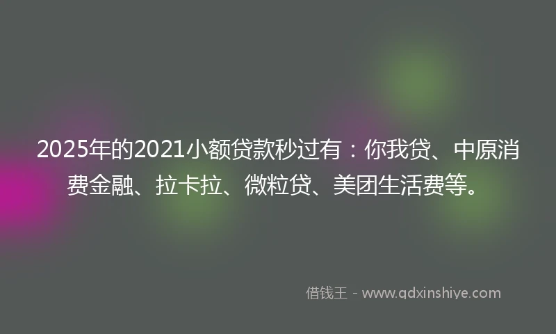 2025年的2021小额贷款秒过有：你我贷、中原消费金融、拉卡拉、微粒贷、美团生活费等。