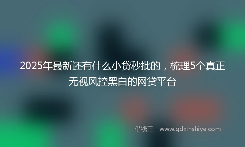 2025年最新还有什么小贷秒批的，梳理5个真正无视风控黑白的网贷平台