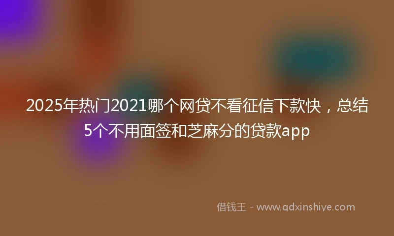 2025年热门2021哪个网贷不看征信下款快，总结5个不用面签和芝麻分的贷款app