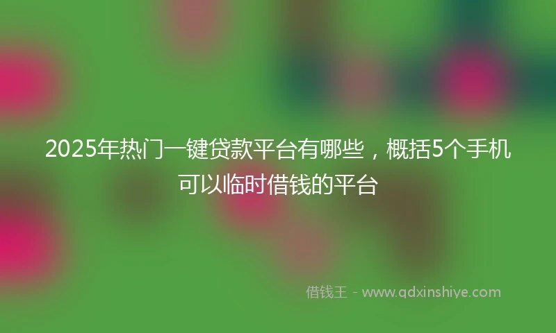 2025年热门一键贷款平台有哪些，概括5个手机可以临时借钱的平台