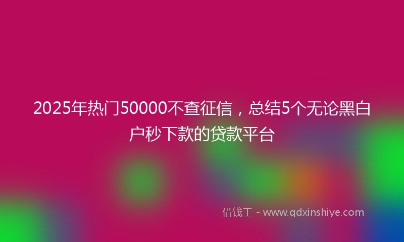 2025年热门50000不查征信，总结5个无论黑白户秒下款的贷款平台