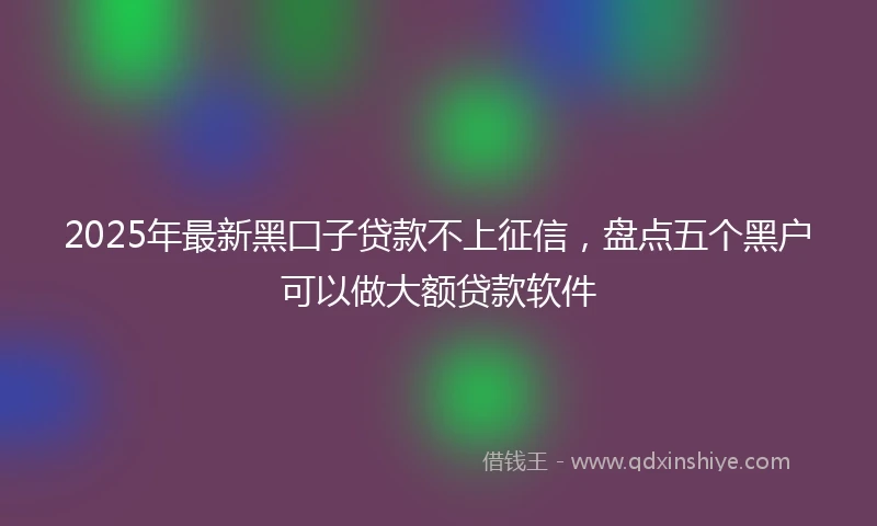 2025年最新黑囗子贷款不上征信，盘点五个黑户可以做大额贷款软件