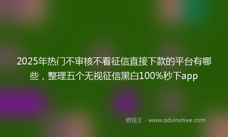 2025年热门不审核不看征信直接下款的平台有哪些，整理五个无视征信黑白100%秒下app