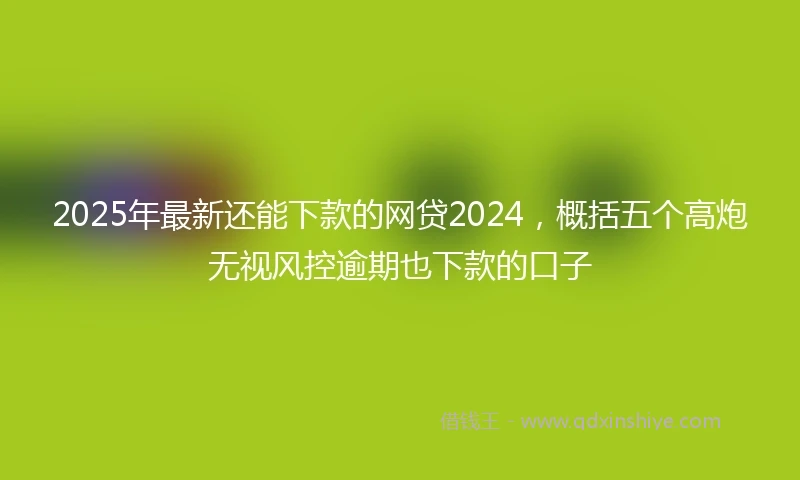 2025年最新还能下款的网贷2024，概括五个高炮无视风控逾期也下款的口子