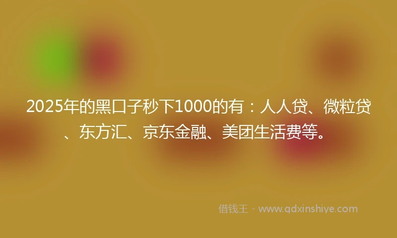 2025年的黑口子秒下1000的有：人人贷、微粒贷、东方汇、京东金融、美团生活费等。