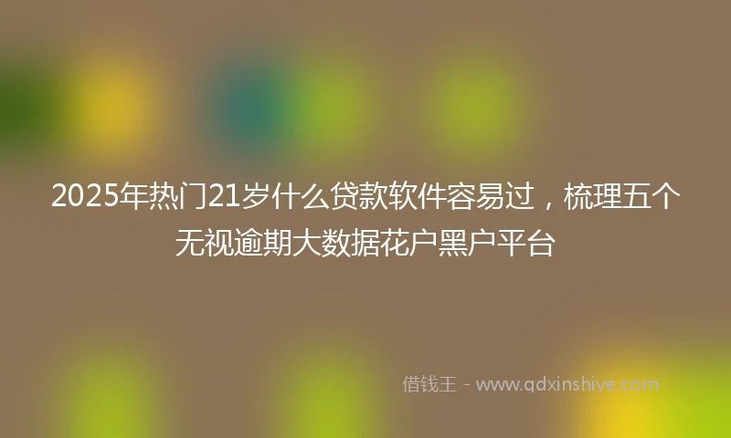 2025年热门21岁什么贷款软件容易过，梳理五个无视逾期大数据花户黑户平台
