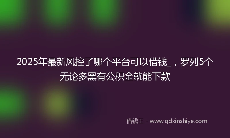 2025年最新风控了哪个平台可以借钱_，罗列5个无论多黑有公积金就能下款