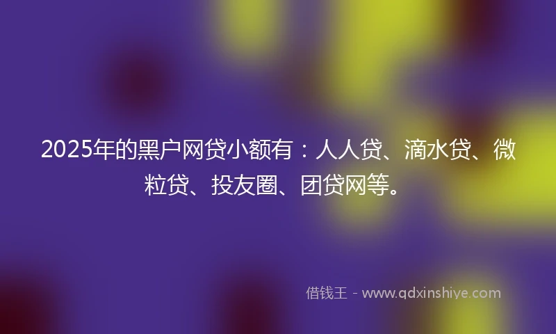 2025年的黑户网贷小额有：人人贷、滴水贷、微粒贷、投友圈、团贷网等。