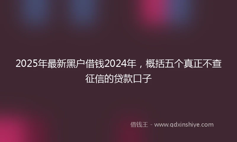 2025年最新黑户借钱2024年，概括五个真正不查征信的贷款口子