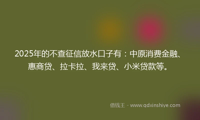 2025年的不查征信放水口子有：中原消费金融、惠商贷、拉卡拉、我来贷、小米贷款等。