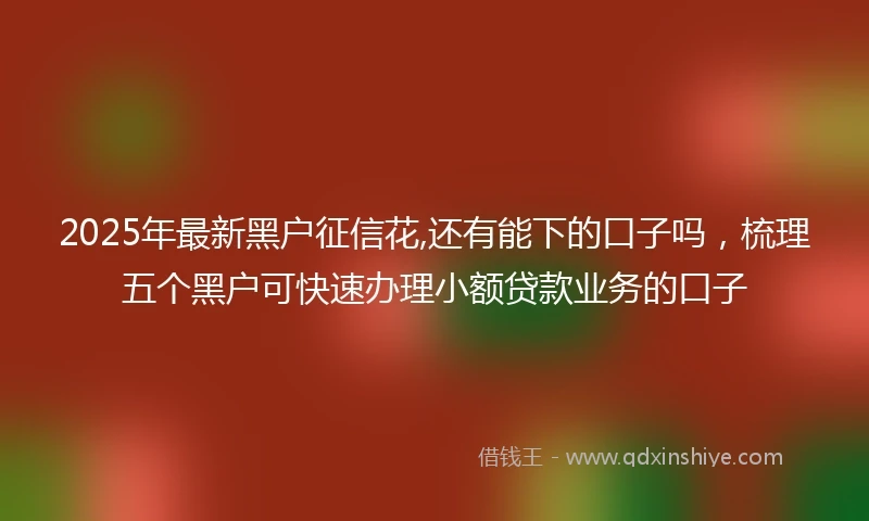2025年最新黑户征信花,还有能下的口子吗，梳理五个黑户可快速办理小额贷款业务的口子