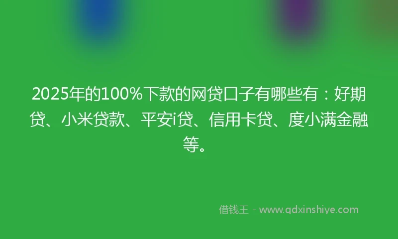 2025年的100%下款的网贷口子有哪些有：好期贷、小米贷款、平安i贷、信用卡贷、度小满金融等。