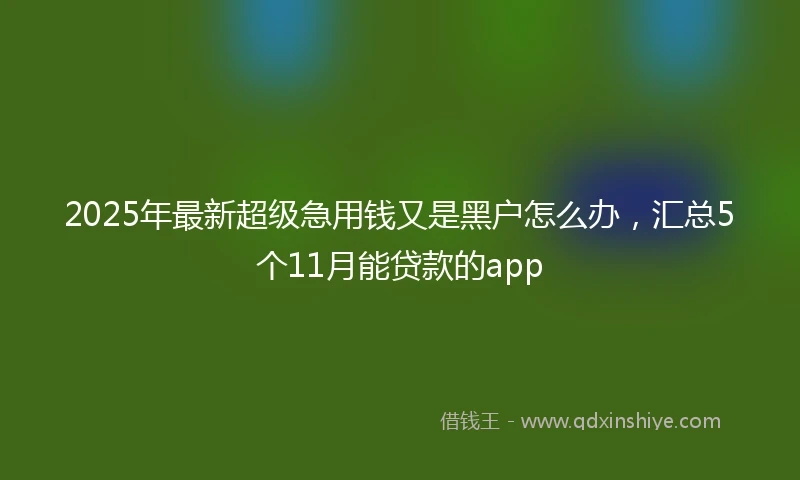 2025年最新超级急用钱又是黑户怎么办，汇总5个11月能贷款的app