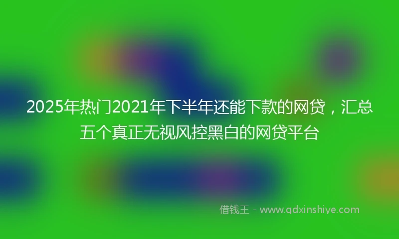 2025年热门2021年下半年还能下款的网贷，汇总五个真正无视风控黑白的网贷平台