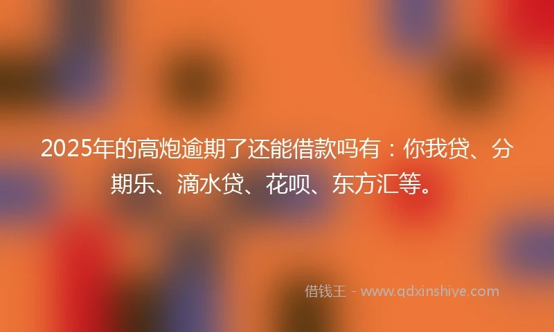 2025年的高炮逾期了还能借款吗有：你我贷、分期乐、滴水贷、花呗、东方汇等。