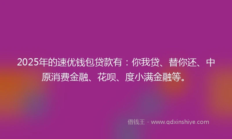 2025年的速优钱包贷款有：你我贷、替你还、中原消费金融、花呗、度小满金融等。