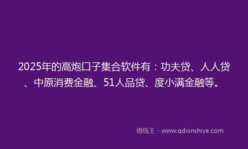 2025年的高炮口子集合软件有：功夫贷、人人贷、中原消费金融、51人品贷、度小满金融等。
