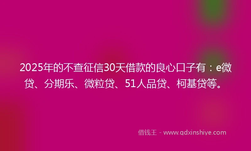 2025年的不查征信30天借款的良心口子有：e微贷、分期乐、微粒贷、51人品贷、柯基贷等。
