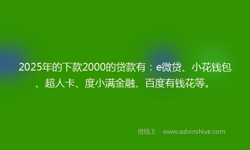 2025年的下款2000的贷款有：e微贷、小花钱包、超人卡、度小满金融、百度有钱花等。