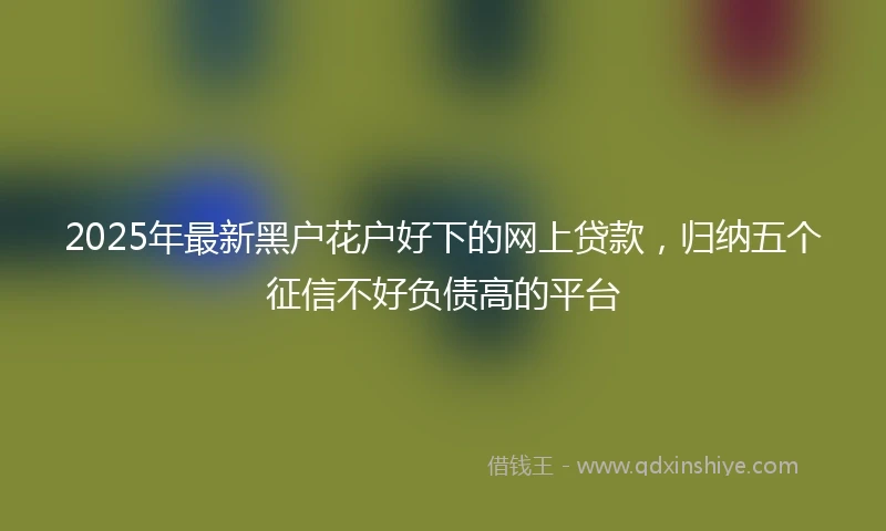 2025年最新黑户花户好下的网上贷款，归纳五个征信不好负债高的平台