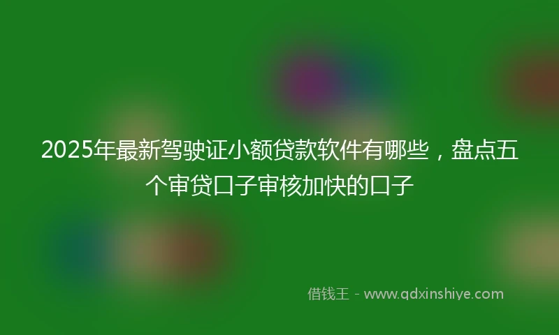 2025年最新驾驶证小额贷款软件有哪些，盘点五个审贷口子审核加快的口子