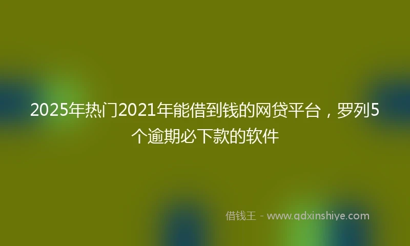 2025年热门2021年能借到钱的网贷平台，罗列5个逾期必下款的软件