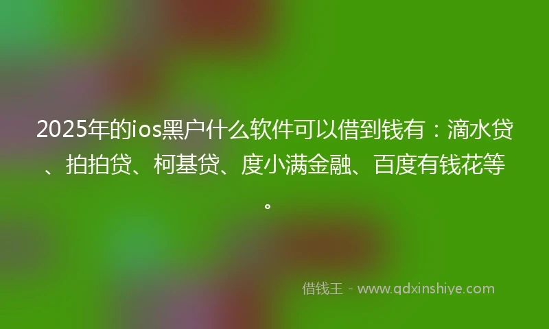 2025年的ios黑户什么软件可以借到钱有：滴水贷、拍拍贷、柯基贷、度小满金融、百度有钱花等。