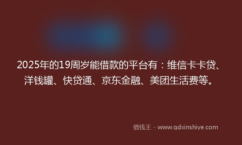 2025年的19周岁能借款的平台有：维信卡卡贷、洋钱罐、快贷通、京东金融、美团生活费等。