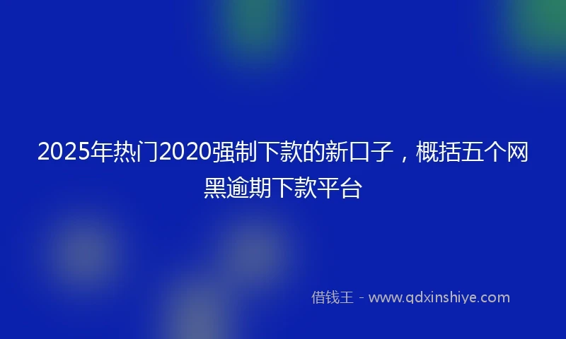 2025年热门2020强制下款的新口子，概括五个网黑逾期下款平台