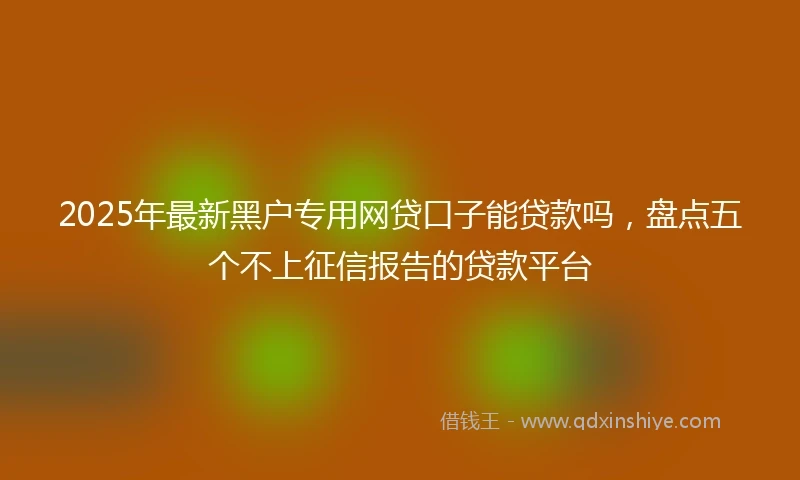 2025年最新黑户专用网贷口子能贷款吗，盘点五个不上征信报告的贷款平台