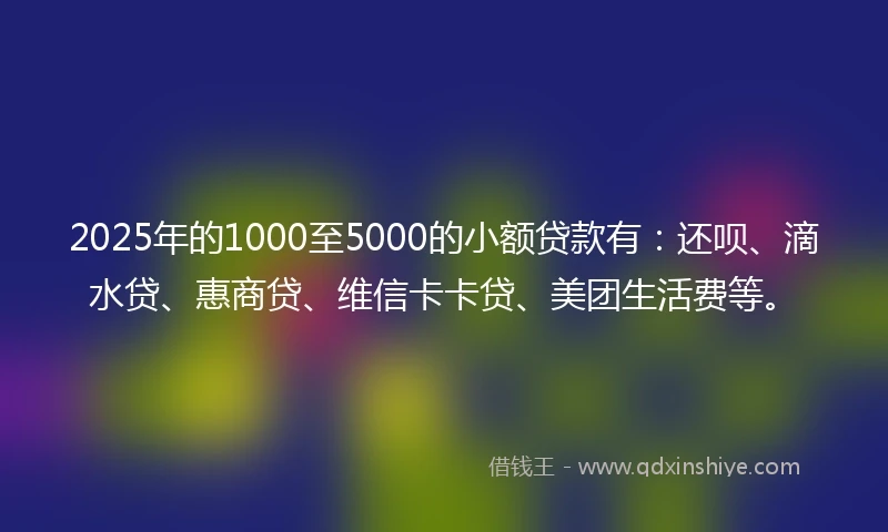 2025年的1000至5000的小额贷款有：还呗、滴水贷、惠商贷、维信卡卡贷、美团生活费等。