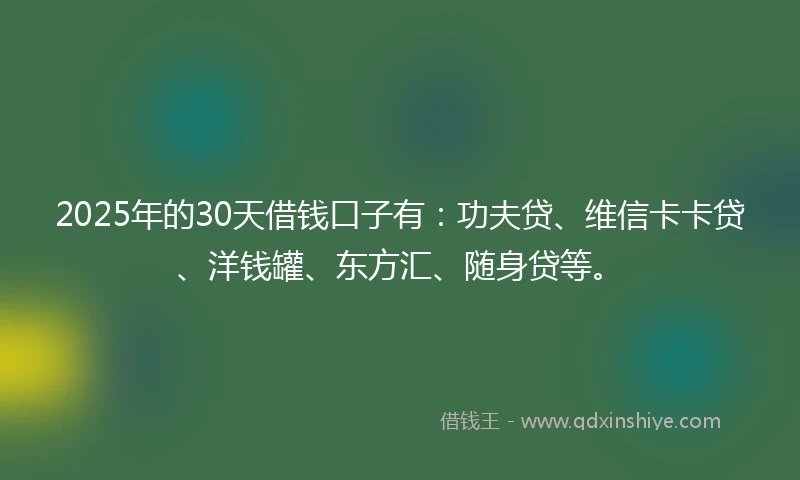2025年的30天借钱口子有：功夫贷、维信卡卡贷、洋钱罐、东方汇、随身贷等。