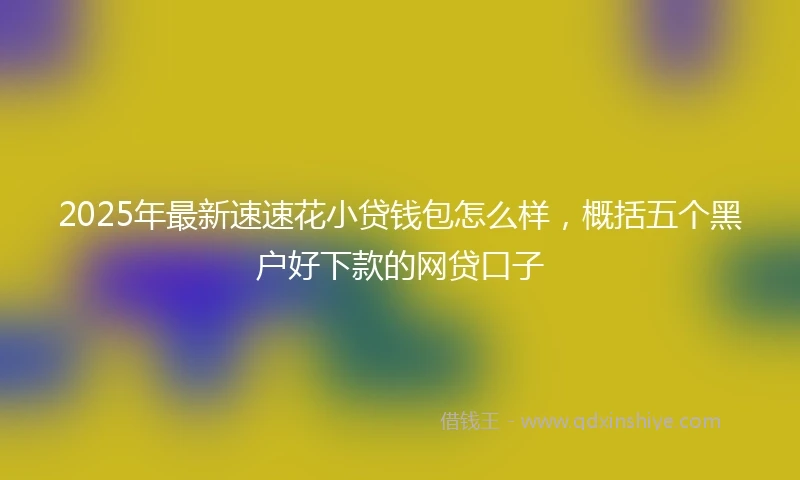 2025年最新速速花小贷钱包怎么样，概括五个黑户好下款的网贷口子