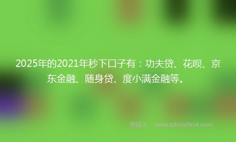 2025年的2021年秒下口子有：功夫贷、花呗、京东金融、随身贷、度小满金融等。