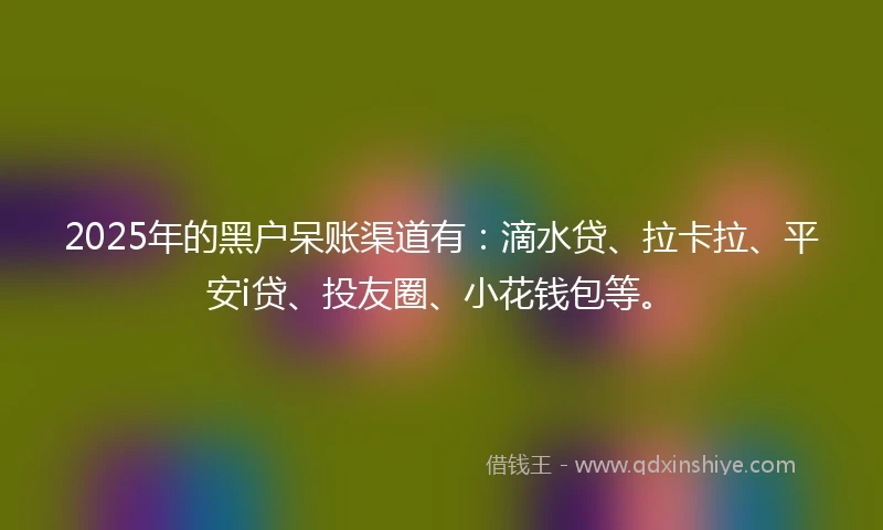 2025年的黑户呆账渠道有：滴水贷、拉卡拉、平安i贷、投友圈、小花钱包等。