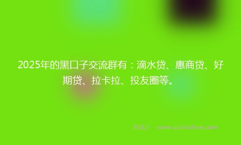 2025年的黑口子交流群有：滴水贷、惠商贷、好期贷、拉卡拉、投友圈等。