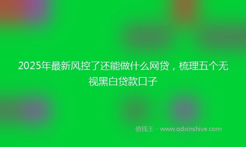 2025年最新风控了还能做什么网贷，梳理五个无视黑白贷款口子