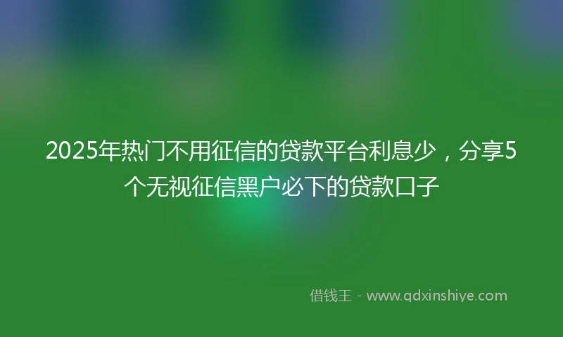 2025年热门不用征信的贷款平台利息少，分享5个无视征信黑户必下的贷款口子